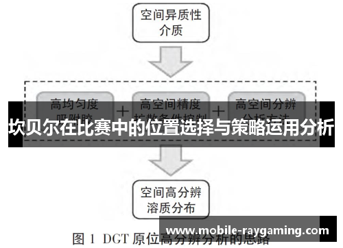 坎贝尔在比赛中的位置选择与策略运用分析 坎贝尔在比赛中的位置选择与策略运用分析